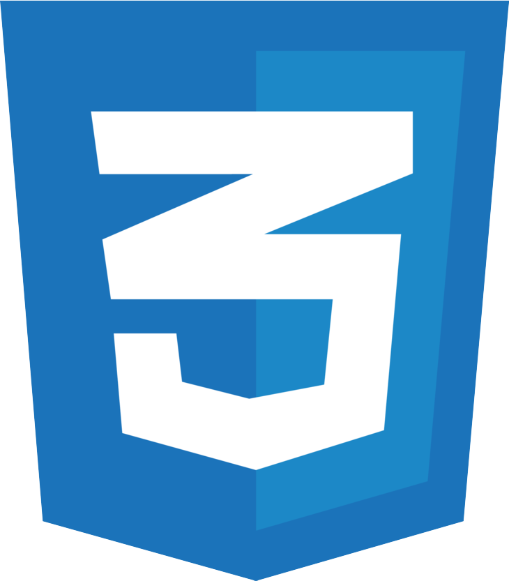 The CSS logo.